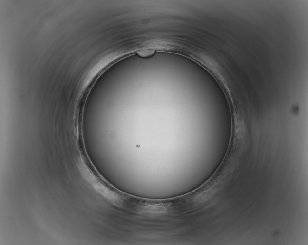 X0000116840843200912181455