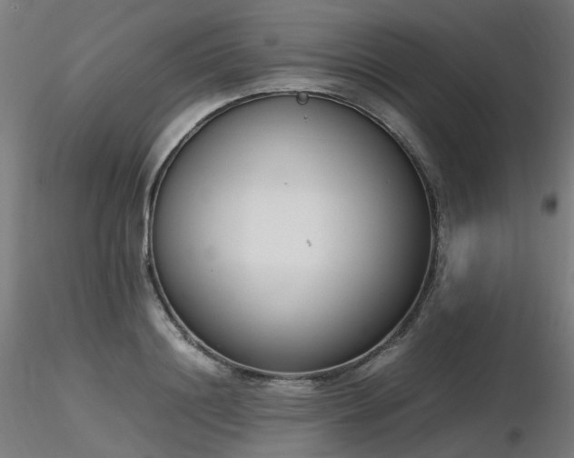 X0000116840844200912181455