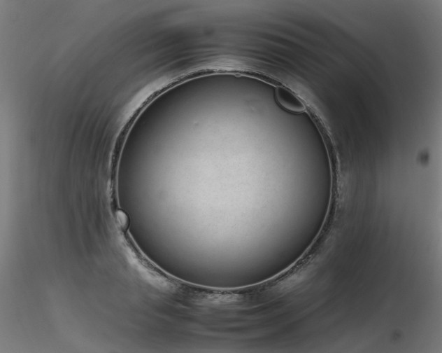 X0000116840845200912181455
