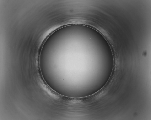 X0000116840846200912181455