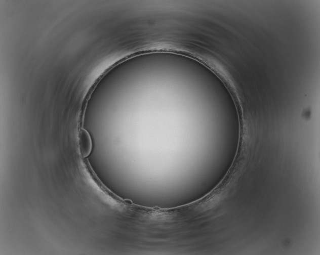 X0000116840847200912181456