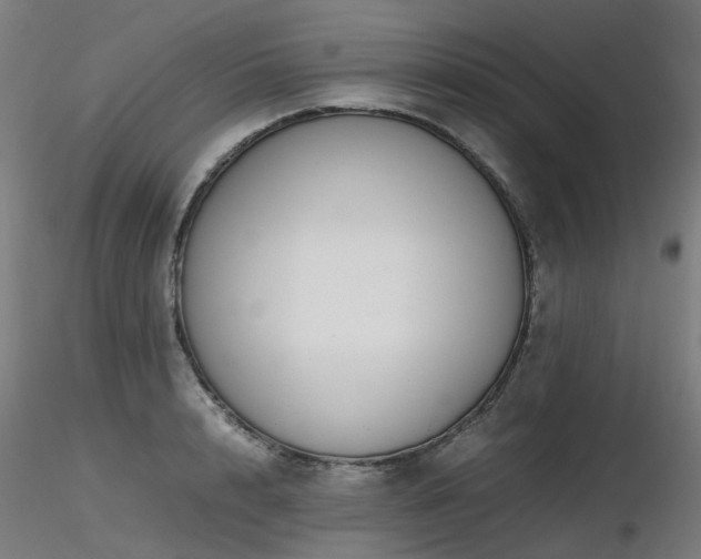 X0000116840848200912181456