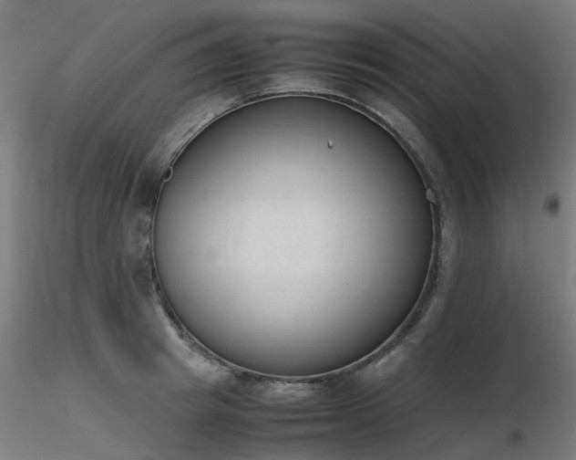 X0000116840849200912181456