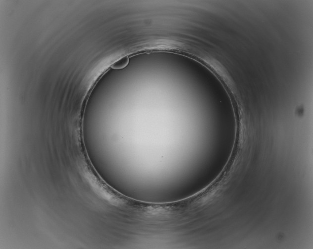 X0000116840850200912181456