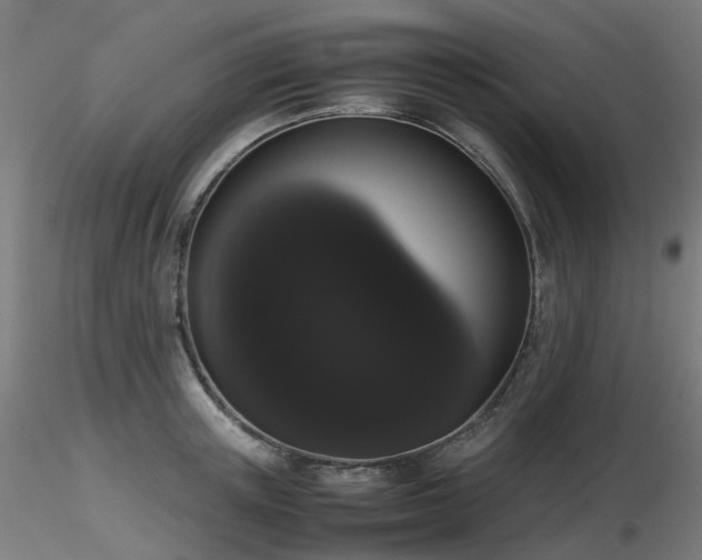 X0000116840851200912181456
