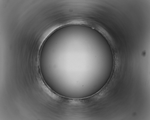 X0000116840852200912181456
