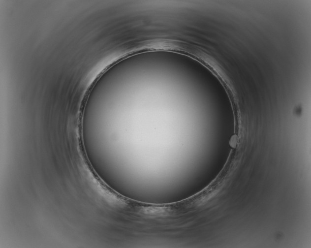 X0000116840853200912181456