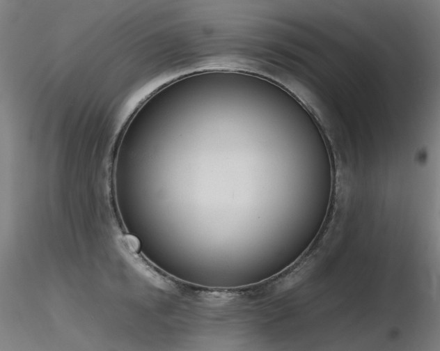 X0000116840854200912181456