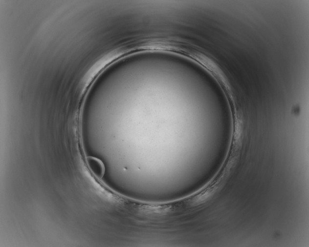 X0000116840855200912181456