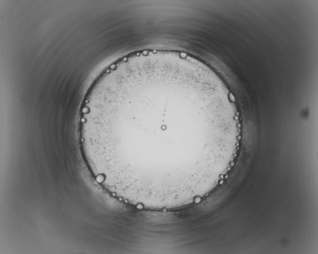 X0000116840856200912181456