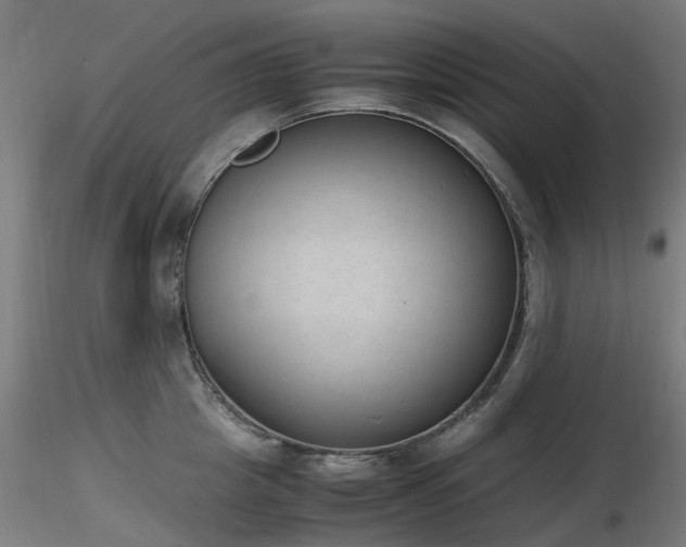 X0000116840857200912181456
