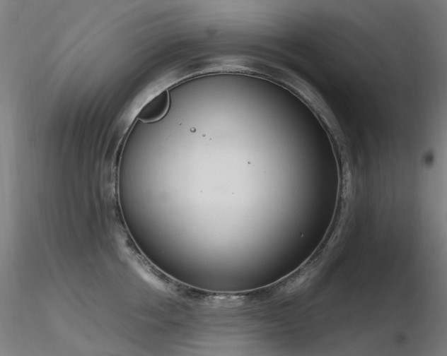 X0000116840858200912181456