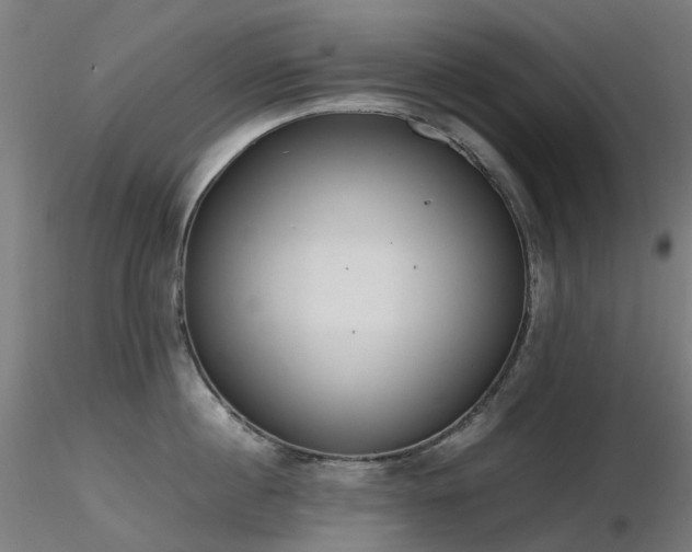 X0000116840860200912181456