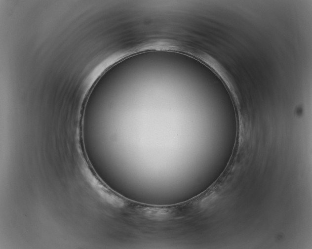 X0000116840861200912181456