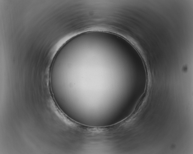 X0000116840862200912181456
