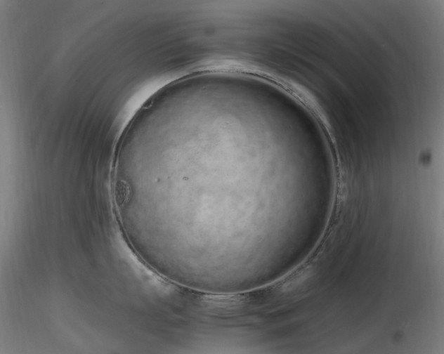 X0000116840863200912181456