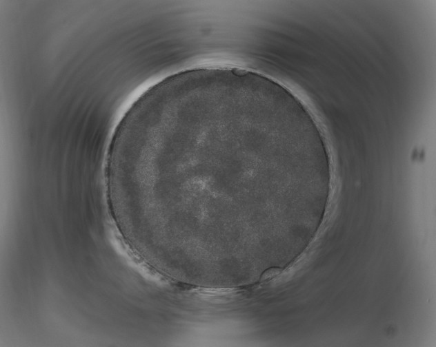 X0000116840864200912181456