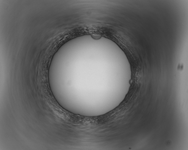 X0000116840865200912181455