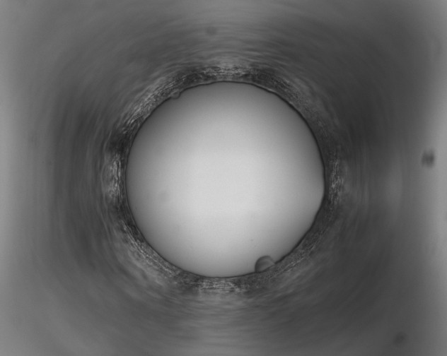 X0000116840866200912181455
