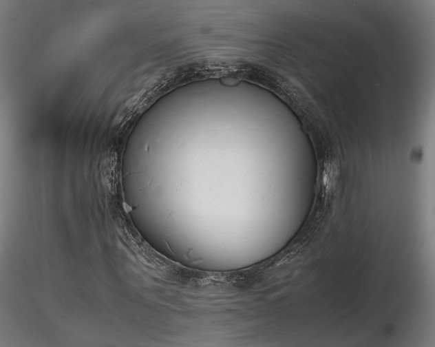 X0000116840867200912181455
