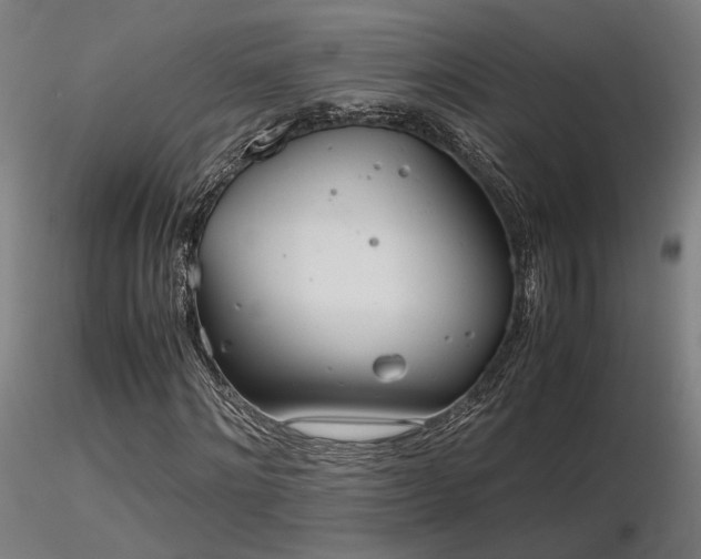 X0000116840868200912181455