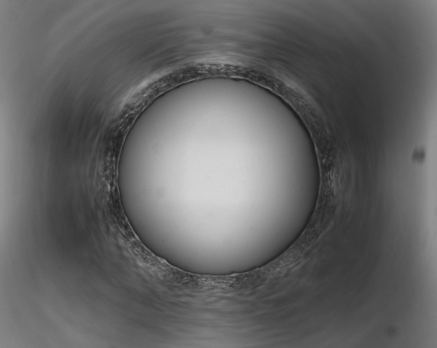 X0000116840870200912181455