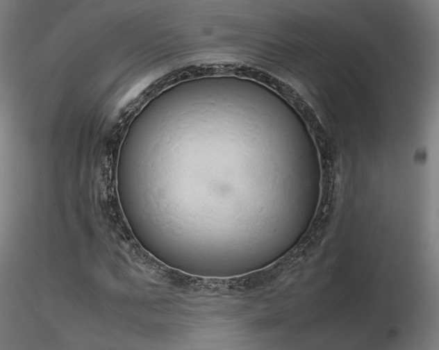 X0000116840871200912181455