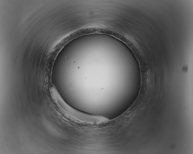 X0000116840872200912181455