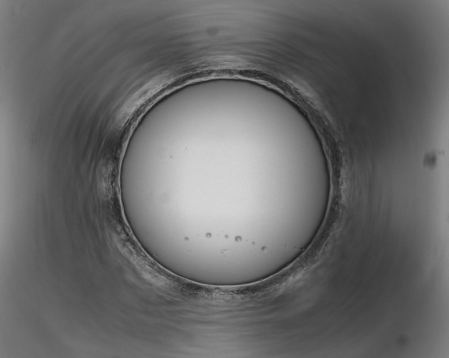 X0000116840873200912181455