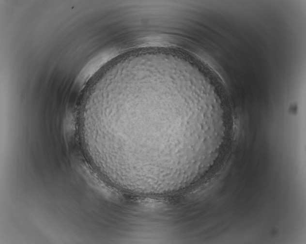 X0000116840874200912181455