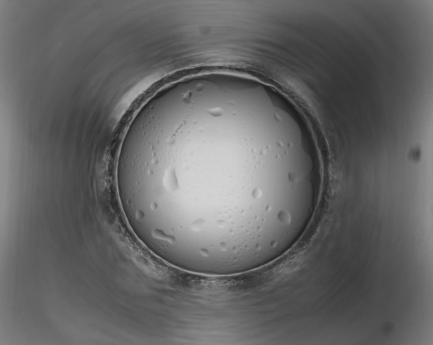 X0000116840875200912181455