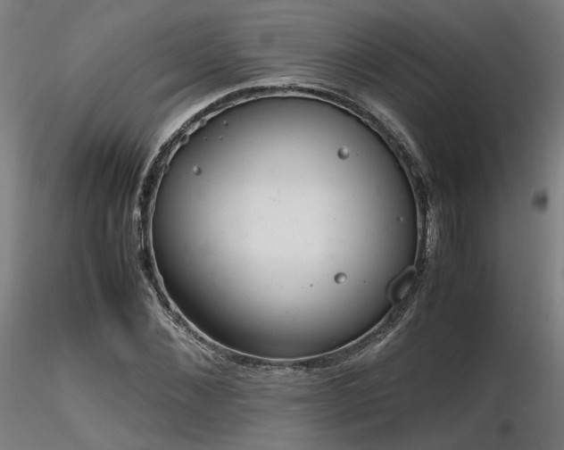 X0000116840876200912181455