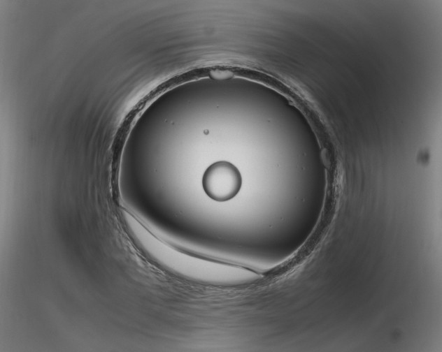 X0000116840877200912181455