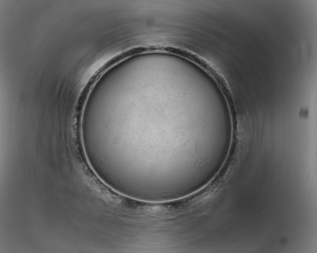 X0000116840879200912181455