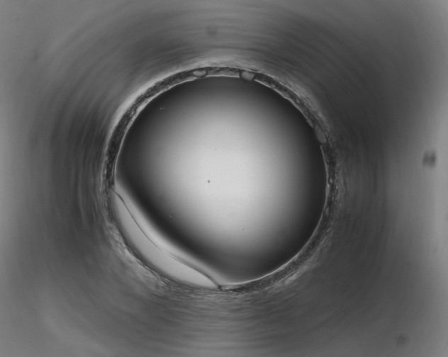 X0000116840880200912181455