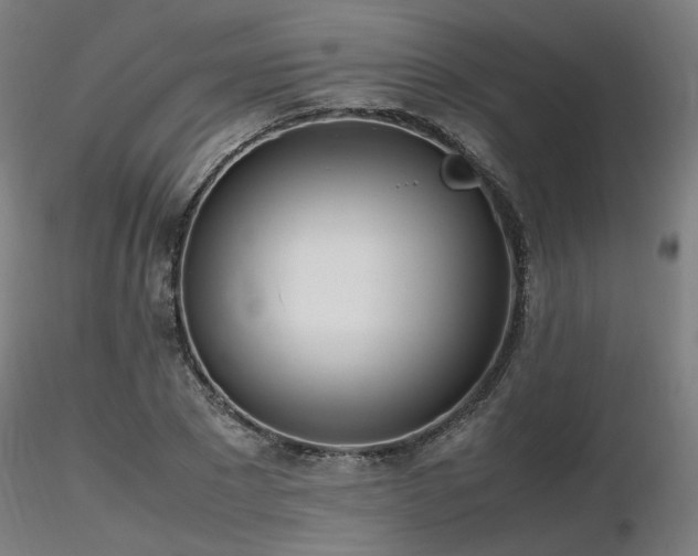 X0000116840881200912181455