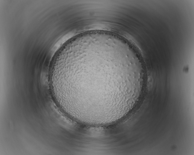 X0000116840882200912181455