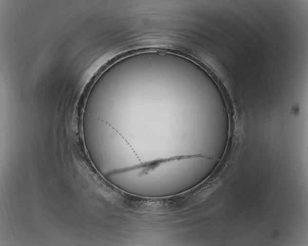 X0000116840883200912181455