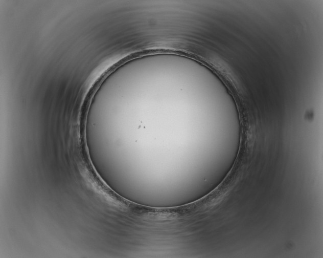 X0000116840884200912181455
