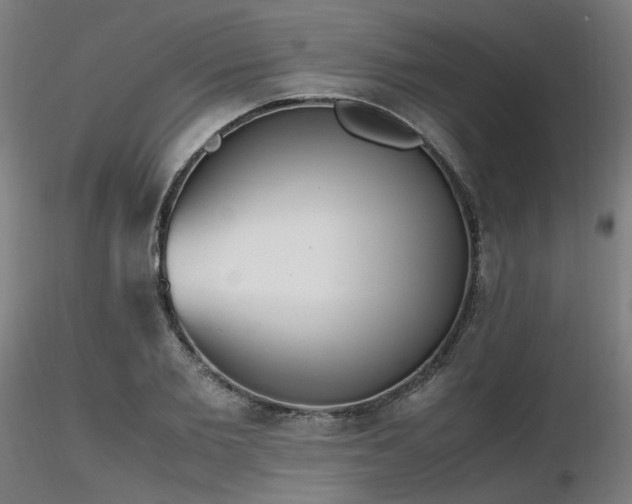 X0000116840885200912181455