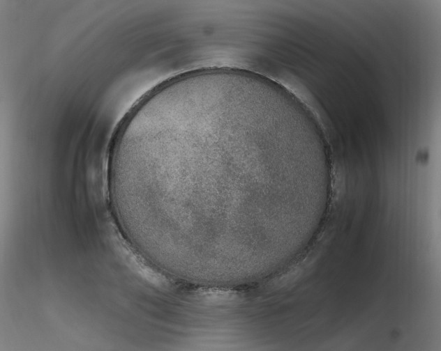 X0000116840886200912181455