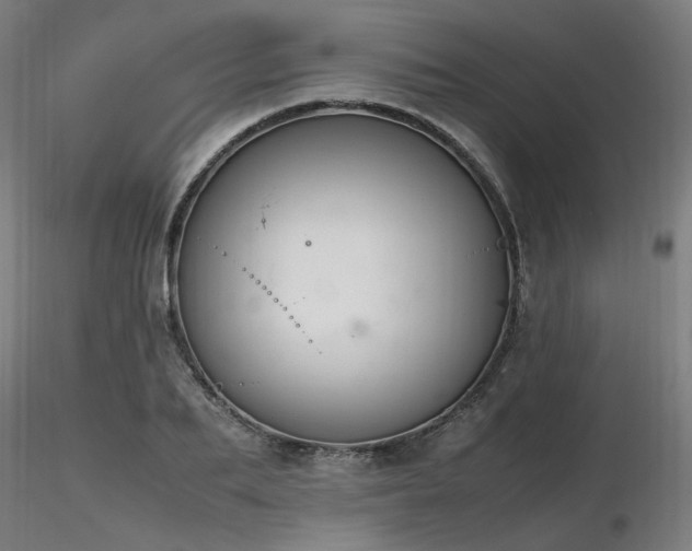 X0000116840887200912181455