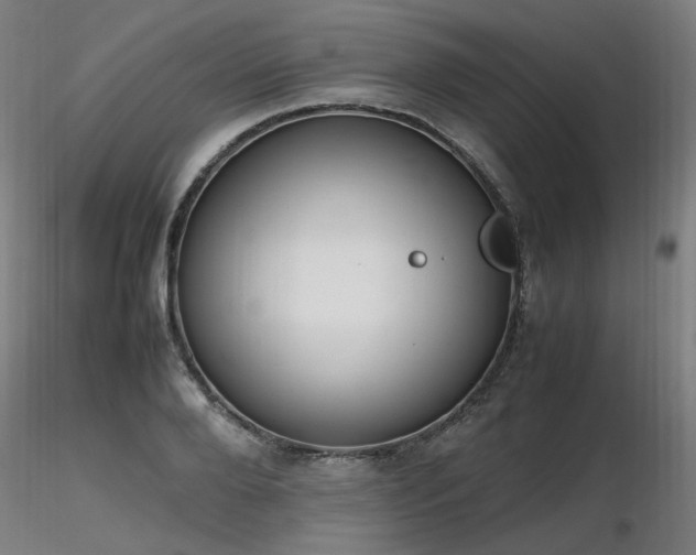 X0000116840888200912181455