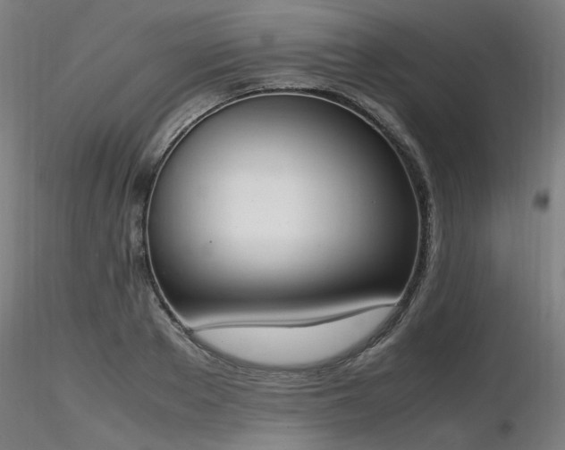 X0000116840889200912181455