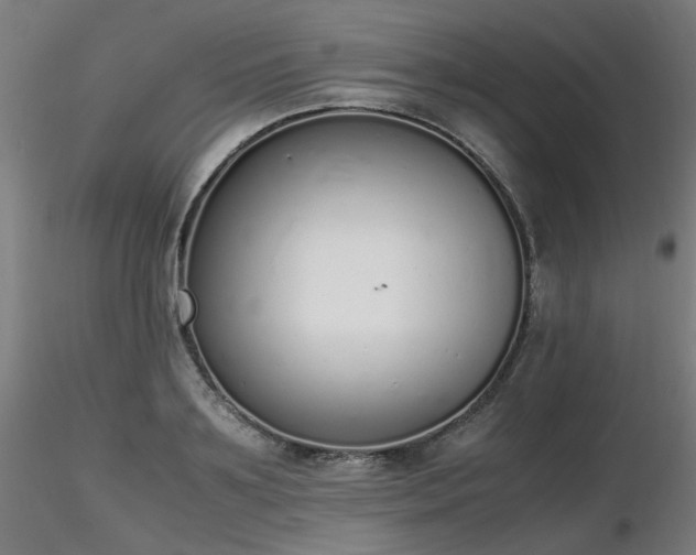 X0000116840891200912181455