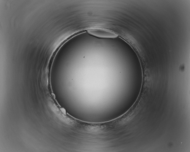 X0000116840892200912181455