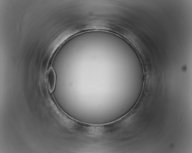 X0000116840893200912181455