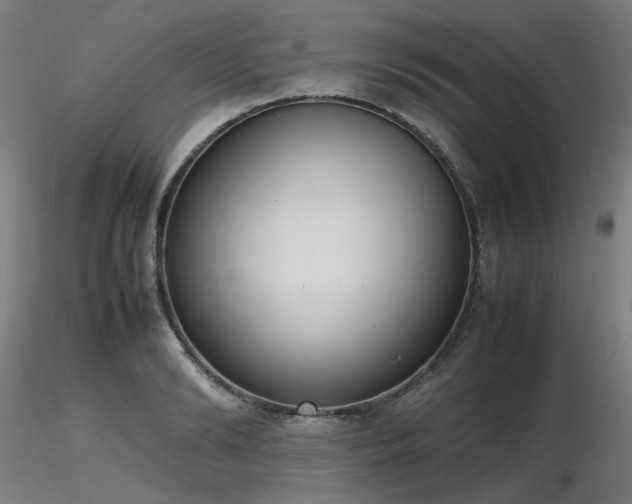 X0000116840894200912181455