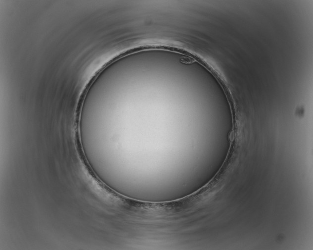 X0000116840895200912181455