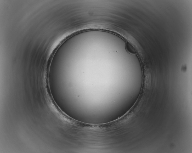 X0000116840896200912181455